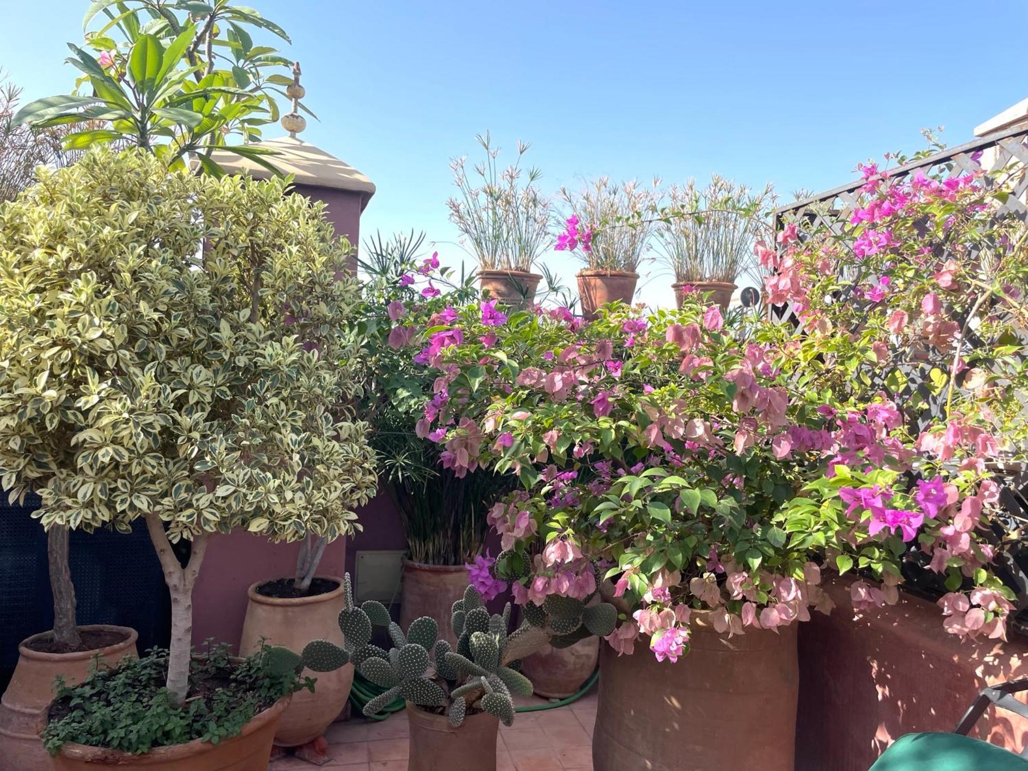 Riad Dar Al Assad Marrakesh Buitenkant foto